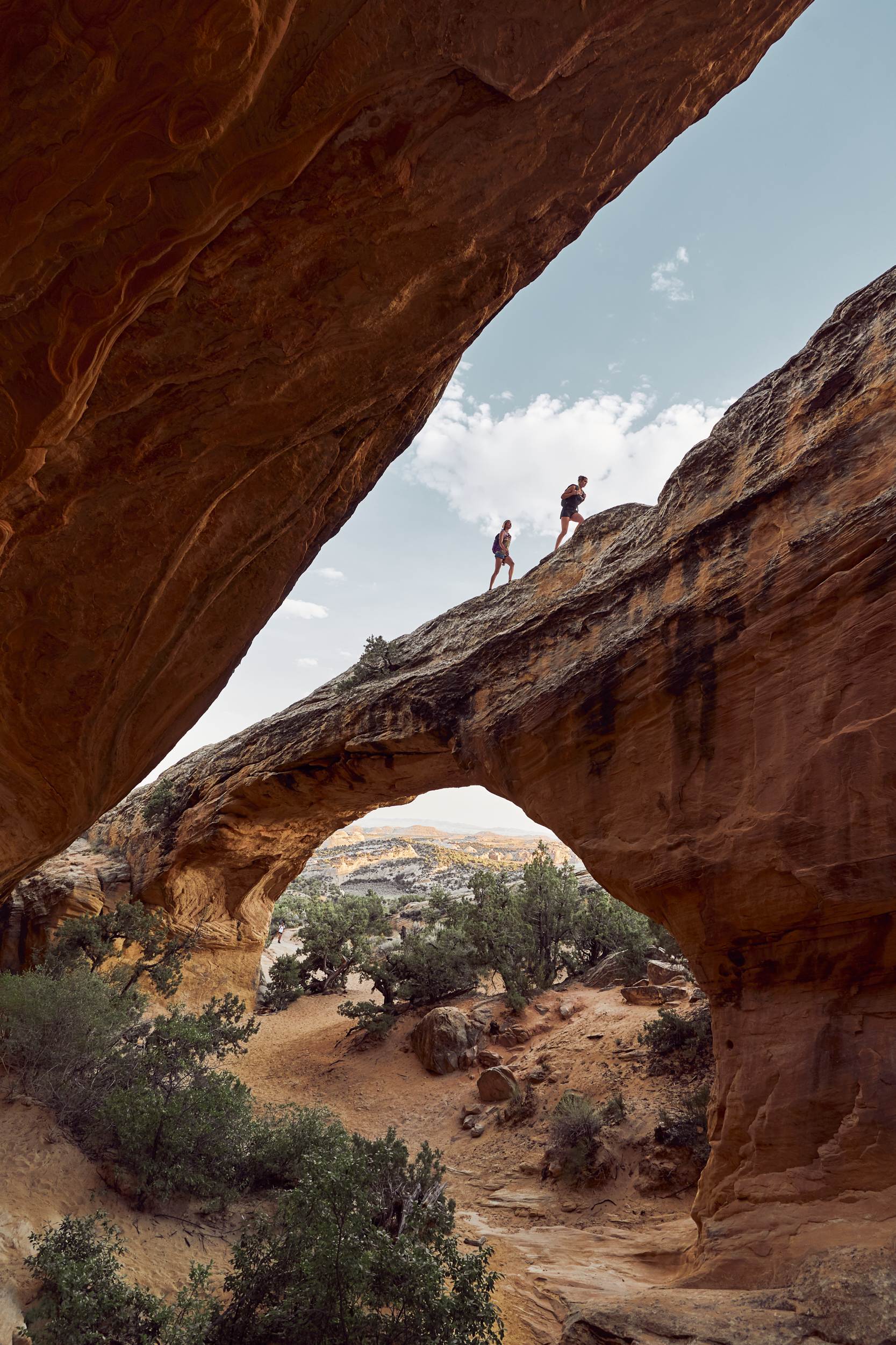 Featured image for “Top 10 Hikes in Dinosaurland: A Hiker’s Paradise”