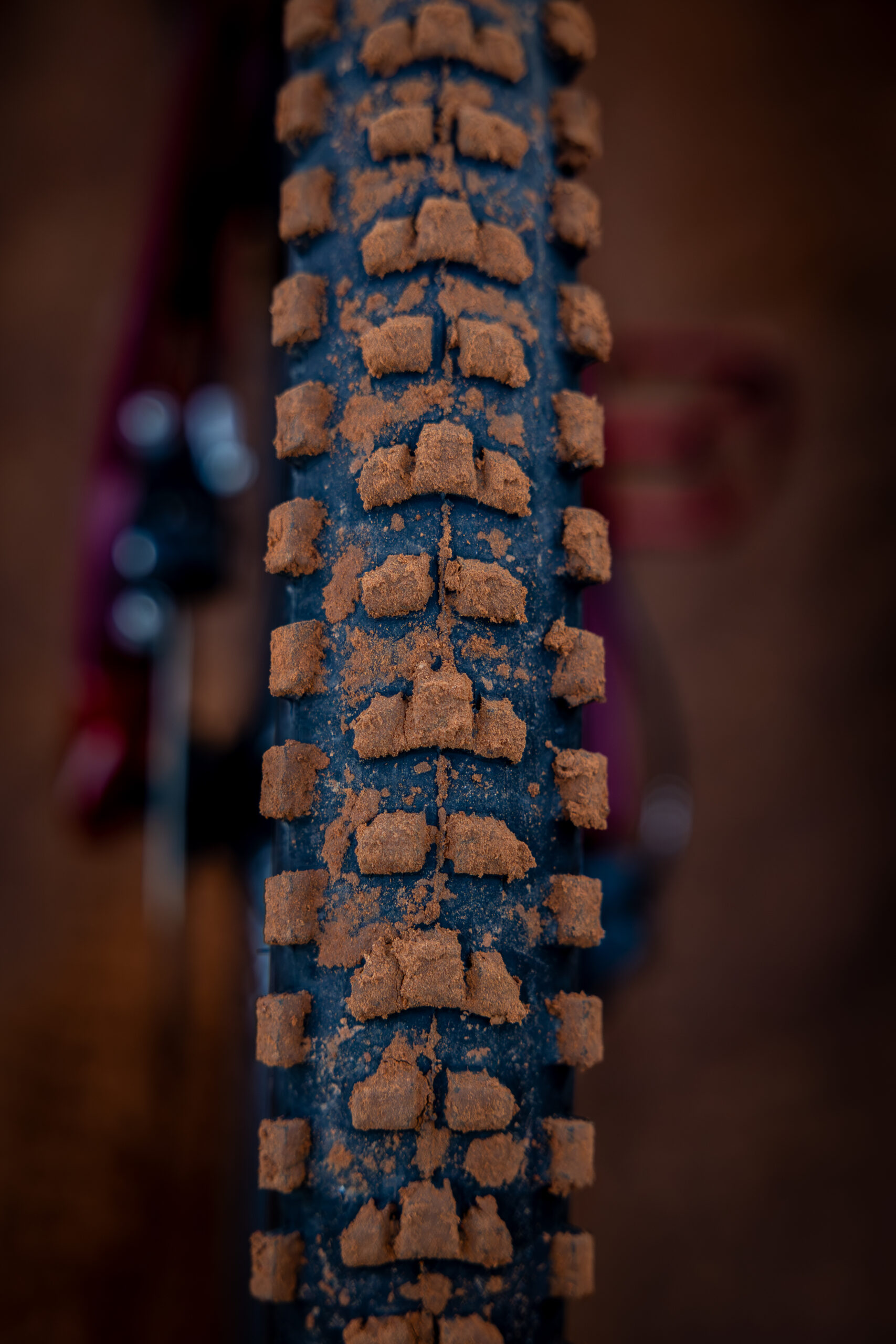 Biking 8 Image