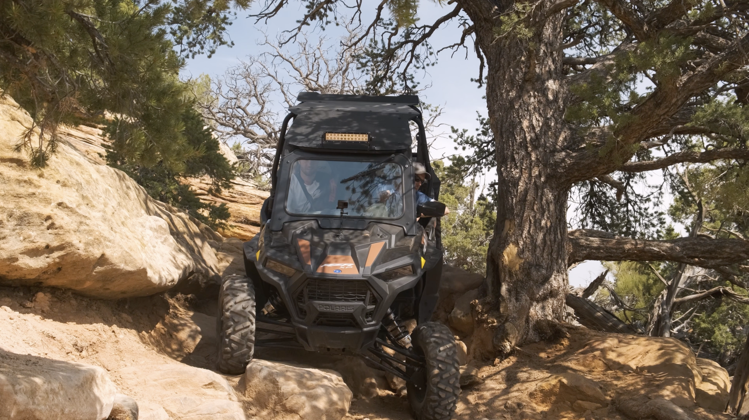 Off-Road Adventures: OHV Trails in Dinoland 1 Image