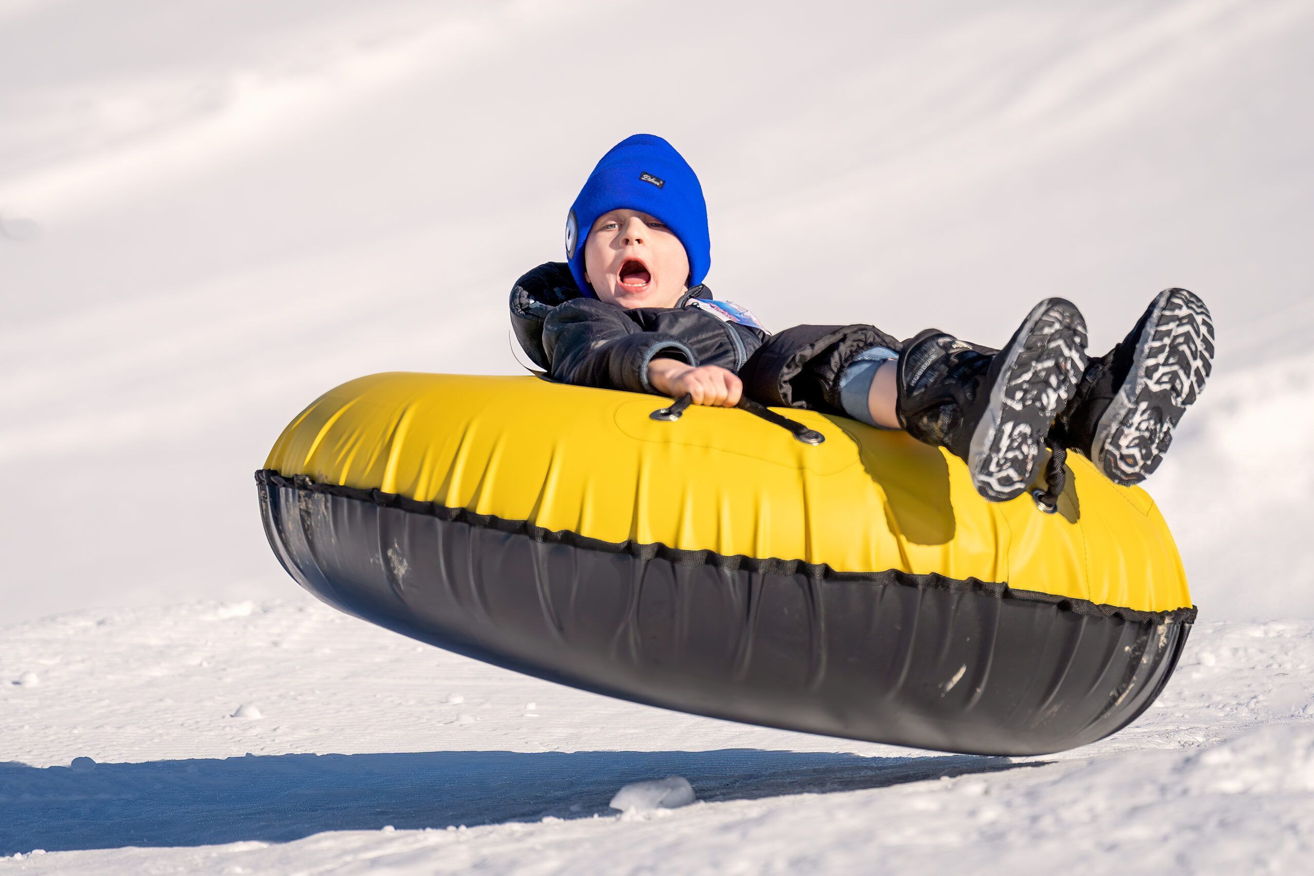 Featured image for “5 Ways to Have an Unforgettable Winter in Dinosaurland”
