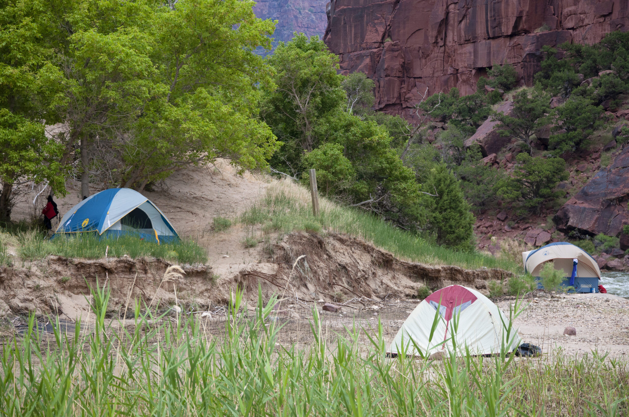 Camping 3 Image