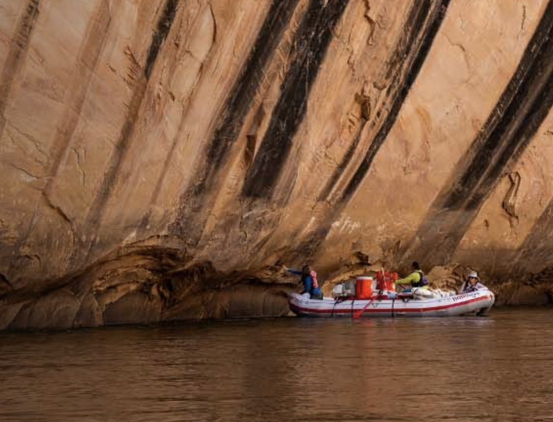Guided Tours, Adventures & Outfitting 31