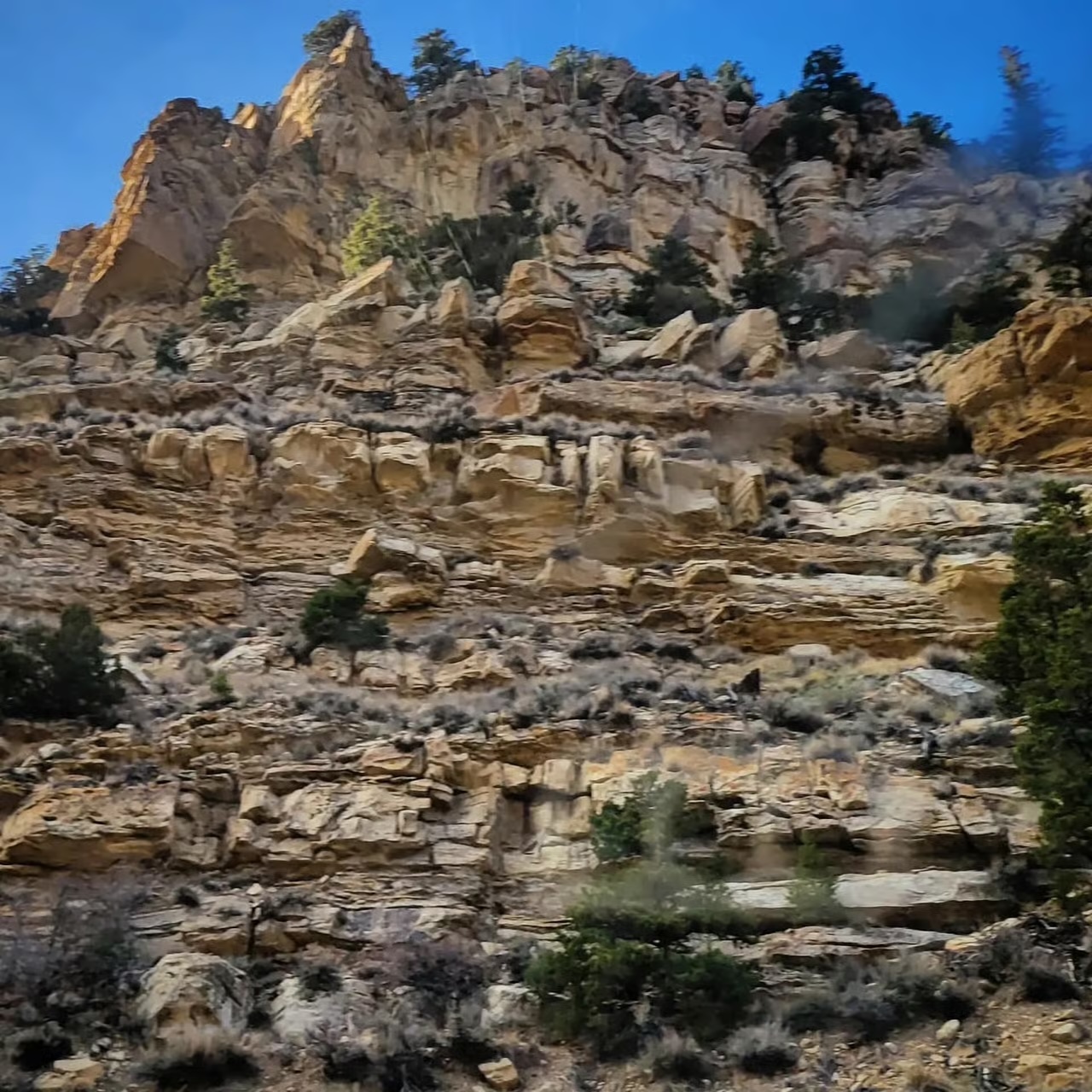 Indian Canyon