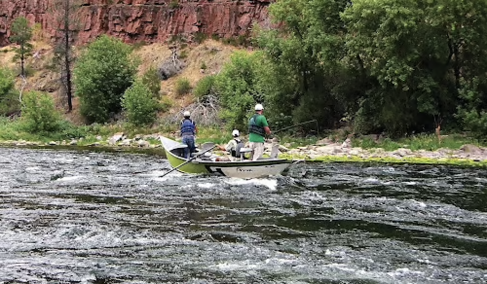 Featured image for “The Ultimate Guide to Fishing in Dinosaurland”