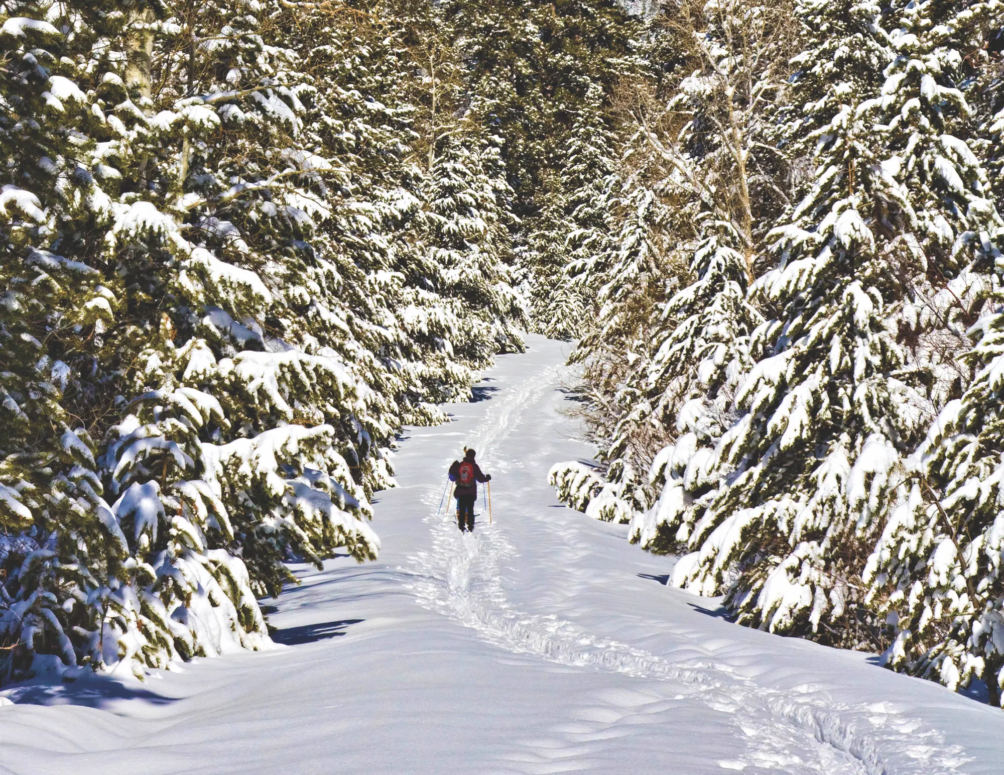 Winter Activities 11 Image